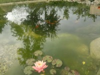 /album/fotogaleria/a2016-06-27-7576-jpg/