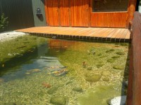 /album/fotogaleria/a2016-07-04-7597-jpg/