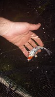 /album/fotogaleria/a2018-04-28-0304-jpg/