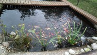 /album/fotogaleria/2021-09-20-1182-jpg/