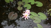/album/fotogaleria/2021-08-01-0720-jpg/